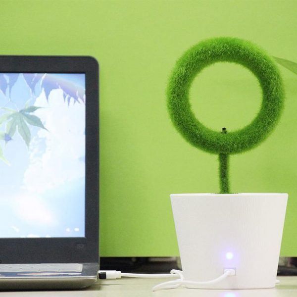 USB Powered Portable Green Plant Negative Ion Desktop Air Purifier_3