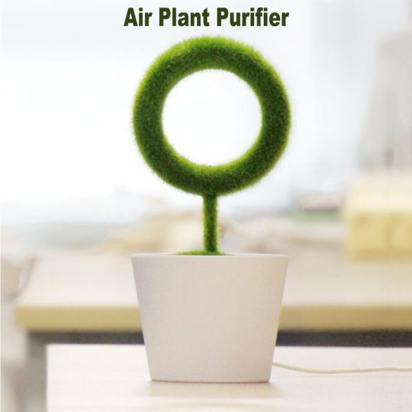 USB Powered Portable Green Plant Negative Ion Desktop Air Purifier_7