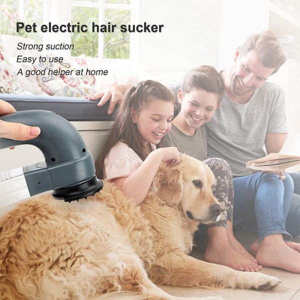 Electric Pet Hair Vacuum Hair Removing Machine_5
