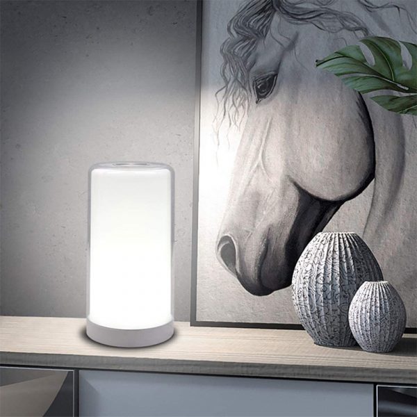 LED Touch Control Dimmable Bedside Night Light USB Desk Lamp_3