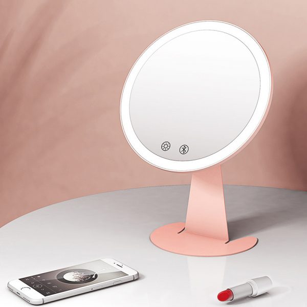 Professional Personal Makeup Mirror with Rechargeable LED Lights_2
