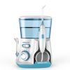 10 Level Pressure Water Pulse Dental Flosser and Oral Irrigator_0