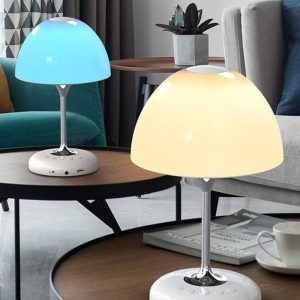 LED Bedside Lamp and Wireless Bluetooth Speaker- USB Charging