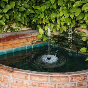 Solar Powered fountain pump swimming pool